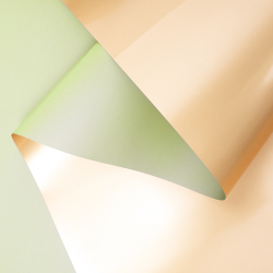 Пленка с золотой стороной (10м)