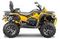 Квадроцикл STELS ATV 800 Guepard Trophy EPS (ПСМ)