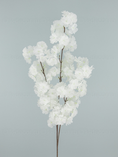 Сакура Пышная