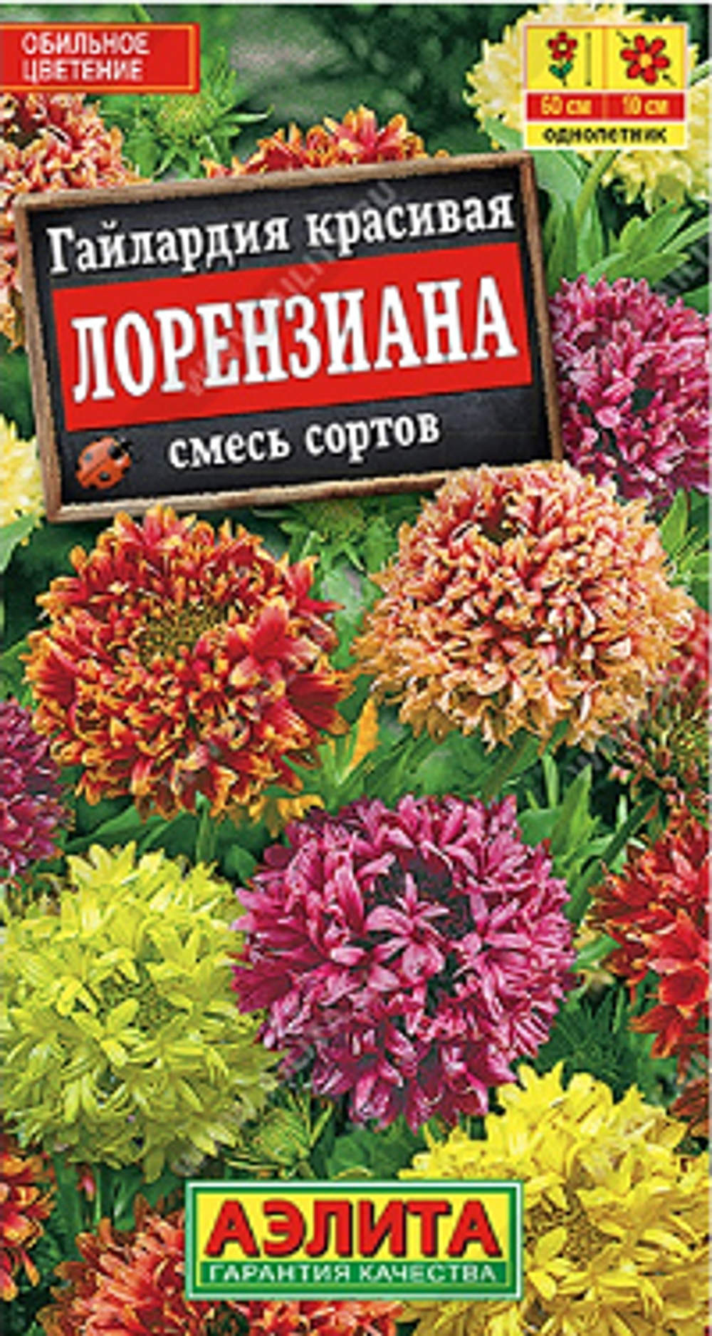 Гайлардия Лорензиана, смесь сортов