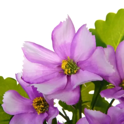 Цветочная композиция «Поцелуй лета» Космея сиреневая 20см