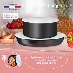 Набор посуды со съемной ручкой Tefal Ingenio Exception Noir, L7639453, 12 предметов