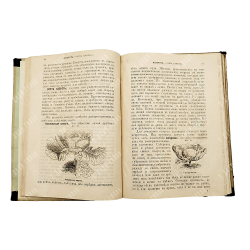 Сабанеев Л. П. Домашний огород. Руководство к разведению овощей. С 68 рисунками. В 3 ч. Ч. 1-3. 1894