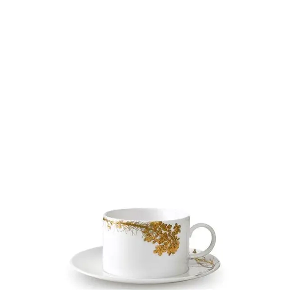 Wedgwood Чайная чашка Vera Wang Jardin 250 мл с блюдцем
