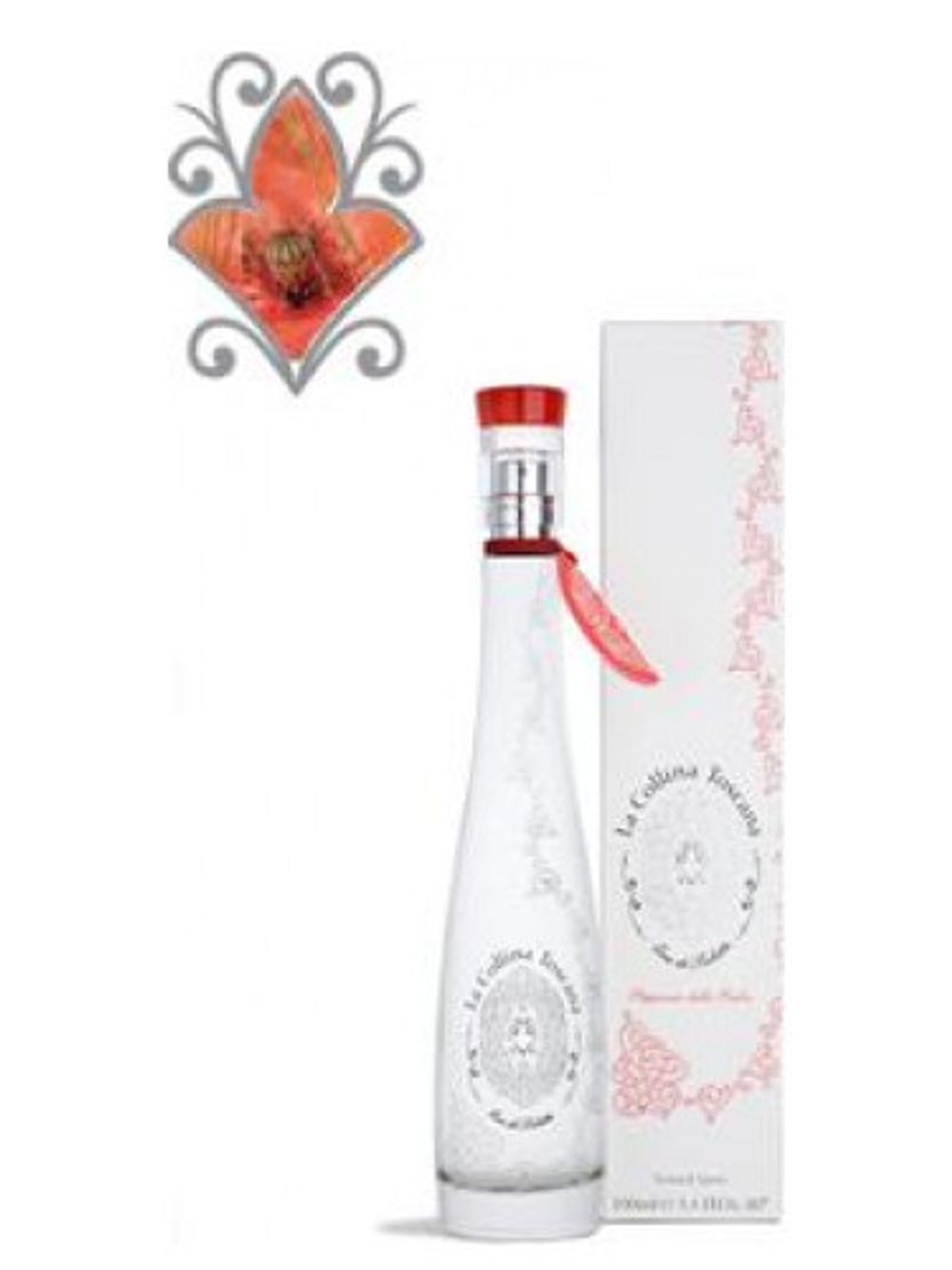 La Collina Toscana Poppy of Cliffs