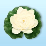 Растение водоплавающее «Кувшинка Розитта» d-17см белая