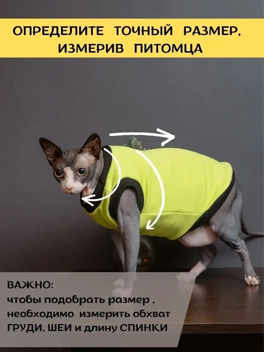 Майка для собак и кошек