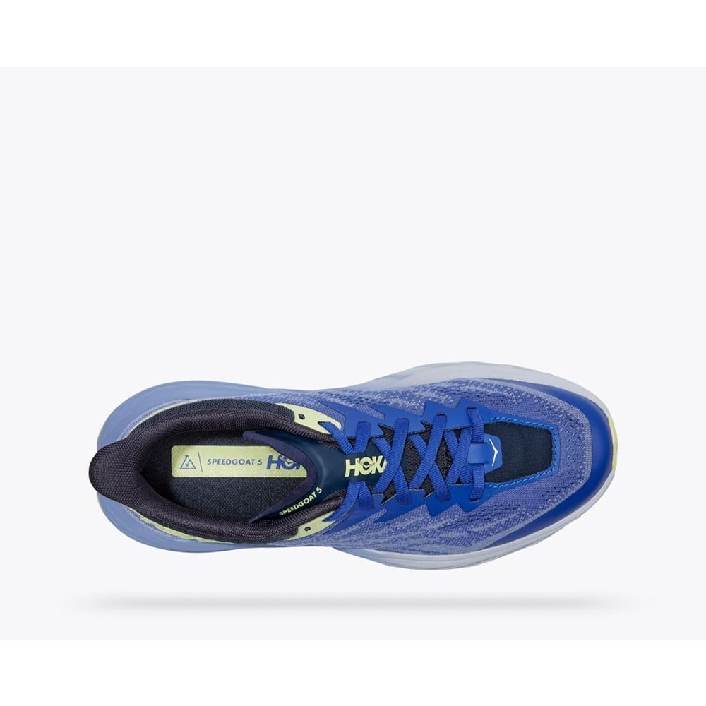 Кроссовки женские HOKA W SPEEDGOAT 5 Purple Impression / Bluing