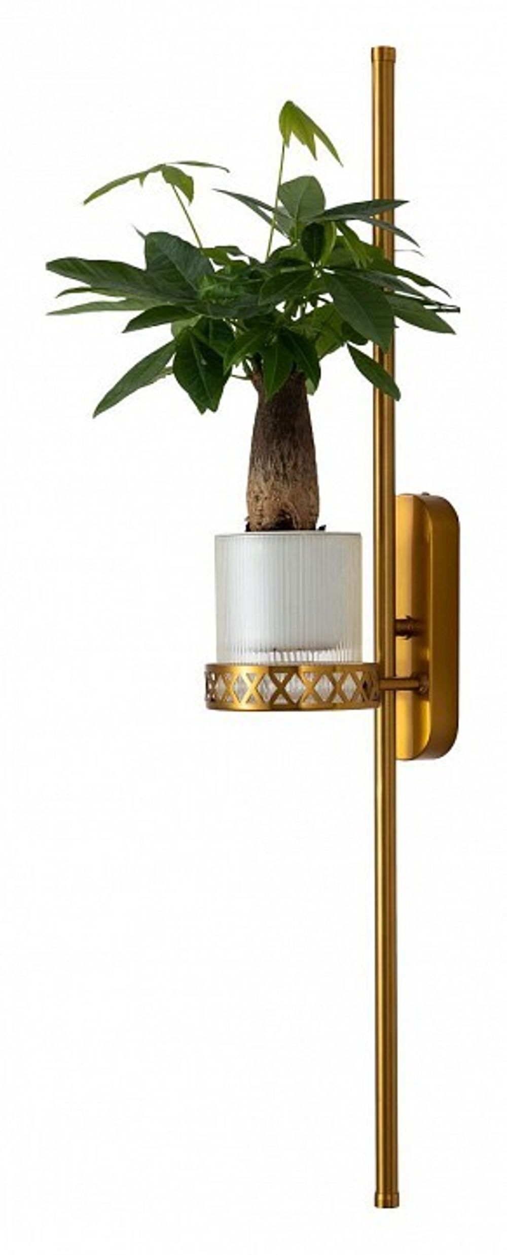 Бра Favourite Greenery 4050-2W