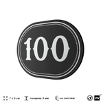Номерок на дверь квартиры 100, для кабинета, офиса, шильдик 9 х 7 см, черный, Айдентика Технолоджи