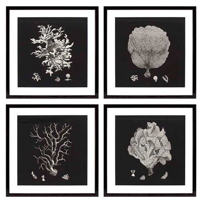 Постеры Eichholtz Black &amp; Tan Corals 106545