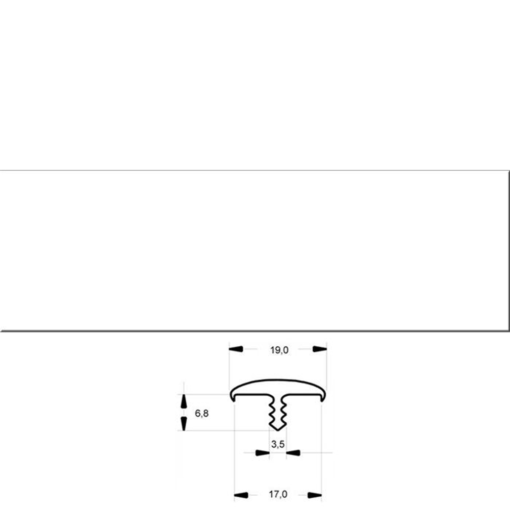 Кант Т-белый
