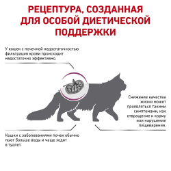 Royal Canin VET Renal Special - диета для кошек при почечной недостаточности RSF26