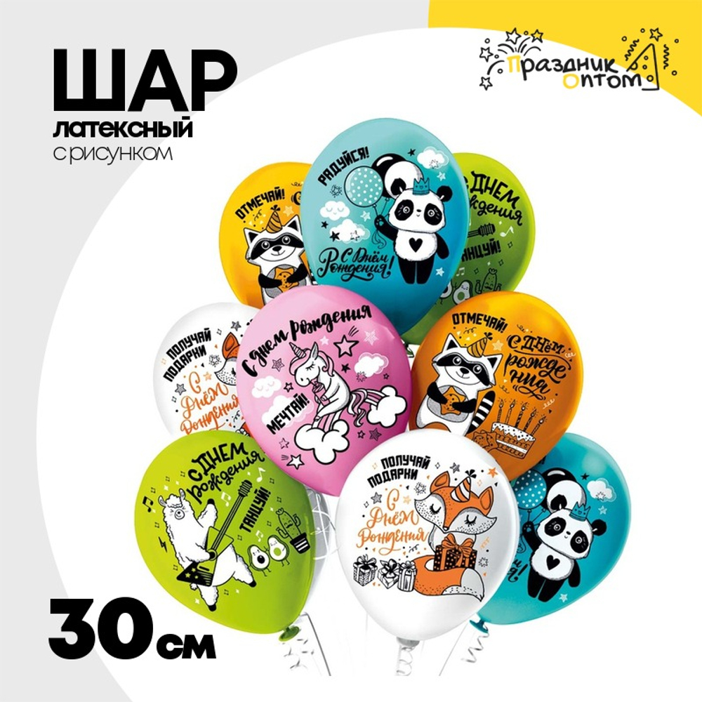 Шар латексный 30см С ДР! Мечтай Отмечай (Ассорти)