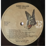 Terry Callier / Fire On Ice (LP)