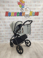 Коляска модульная Rant Teo Sage