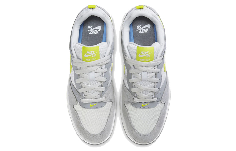 Кроссовки Nike Sb Alleyoop