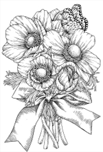 Inspirational Four Seasons Animals POST CARD. Coloring Book