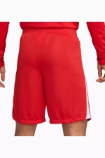 Шорты Nike Dri-Fit League 3