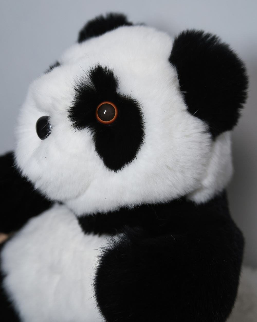 Панда Жасмин