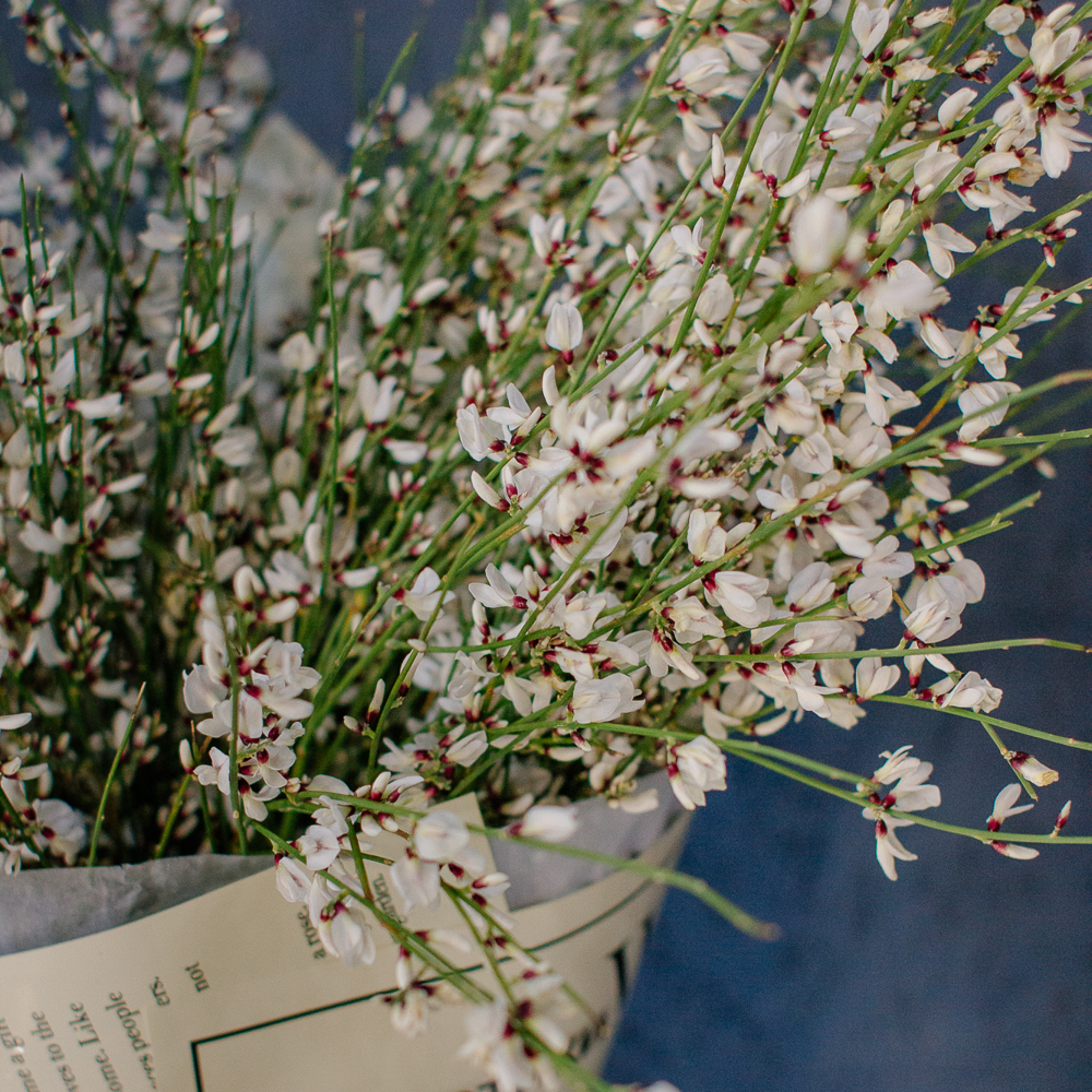 154. Весенний букет из ароматной генисты