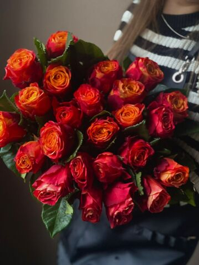 Розы Эквадор Premium 60 см (Атомик)