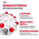 Royal Canin Mini Adult Мини Эдалт Корм сухой для взрослых собак мелких пород от 10 месяцев и старше 8кг