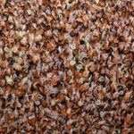 Букле Industria Italiana Filati S.P.A. 30% меринос 12% полиамид 53% полиакрил