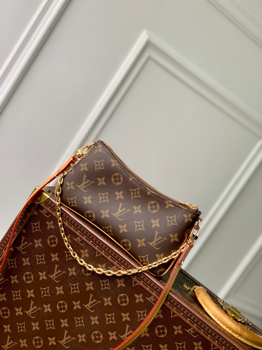 Louis Vuitton Liv Pochette