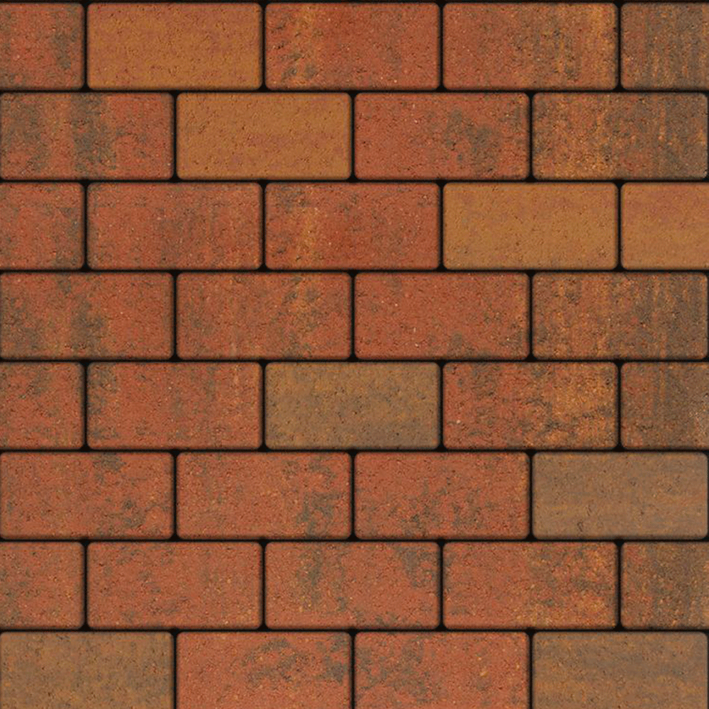 Тротуарная плитка форма Прямоугольник коллекция Листопад гладкий