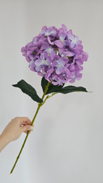 Гортензия / Арт 2099