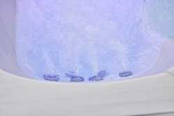 Трехместный гидромассажный спа-бассейн Victoria Star VS-301C