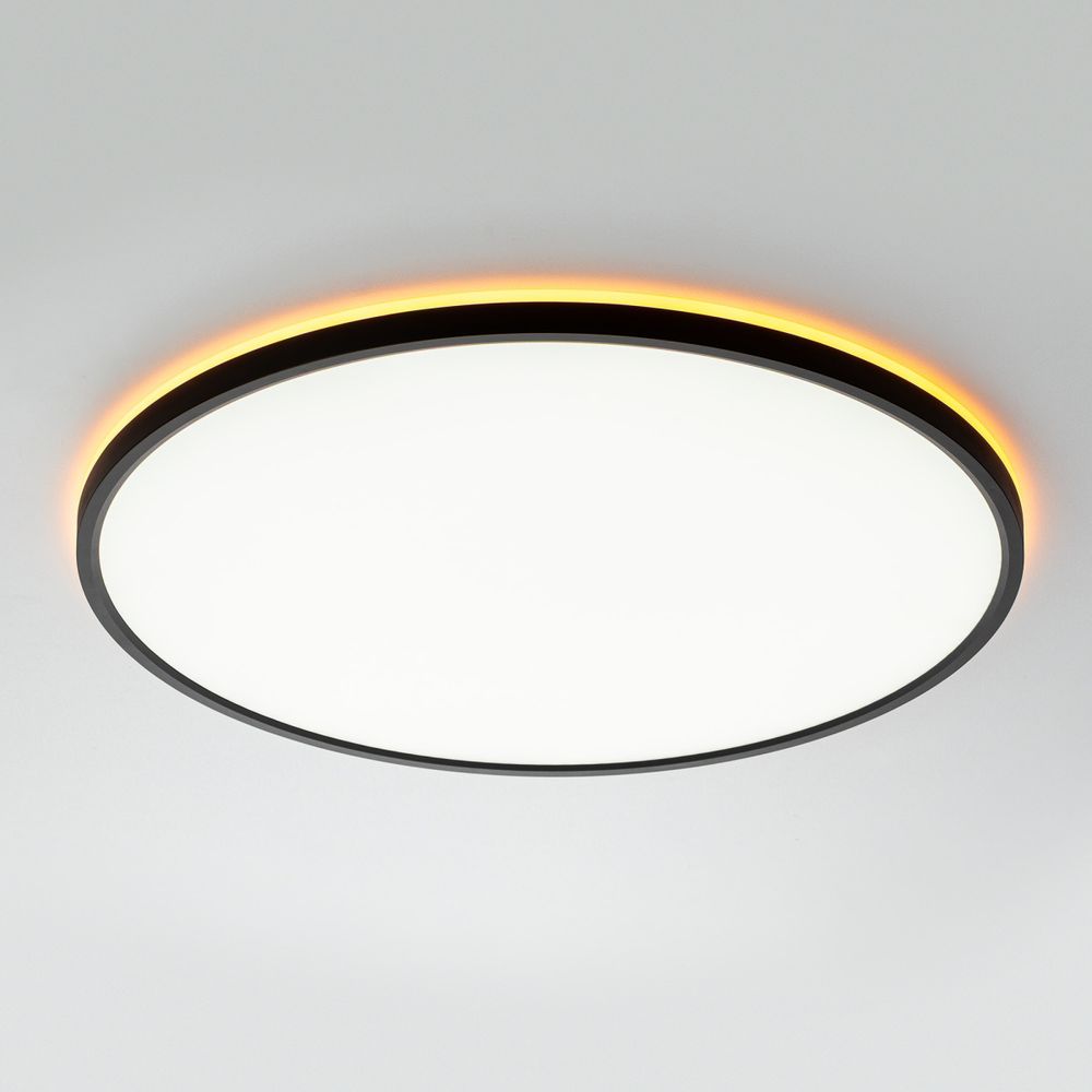 Citilux NORMA CL749501 LED RGB Светильник с пультом Чёрный