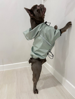 Универсальная куртка дождевик для собак Монморанси, цвет олива, размер L