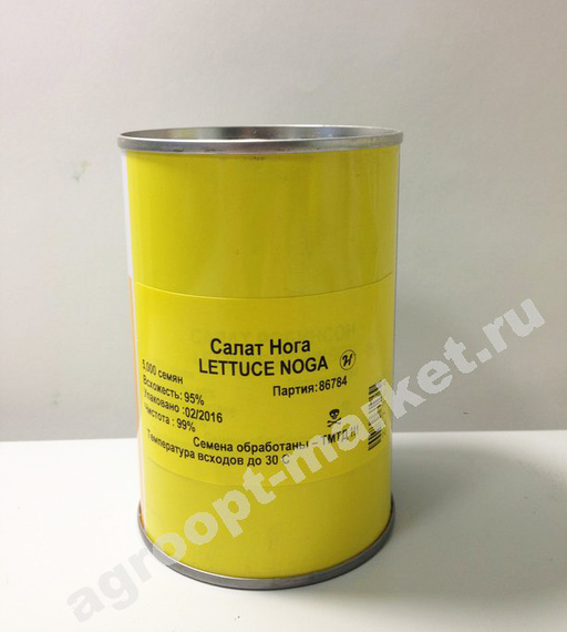 Нога семена салата ромэн (Hazera / Хазера) – фото 2