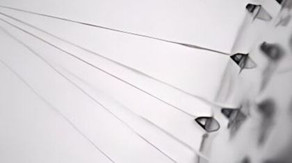 Синтезированный паучий шёлк способен заживлять раны