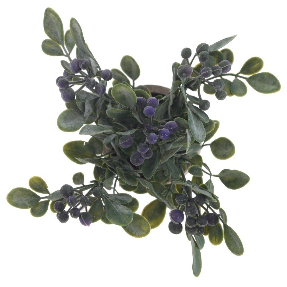 GAEM Цветочная композиция, L8 W8 H18 см