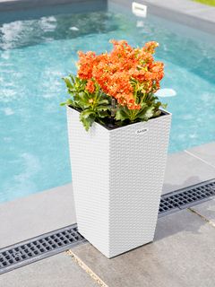 Кашпо с автополивом Ola Dom - Rattan (Элластик Пласт)