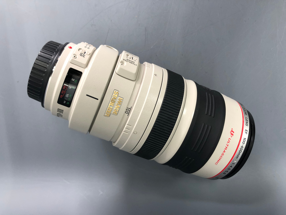 Canon EF 100-400mm 4.5-5.6L IS