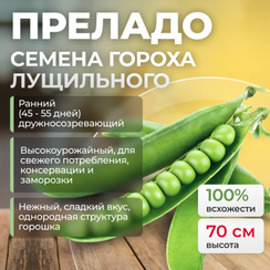 ПРЕЛАДО семена гороха (Syngenta | Alexagro)