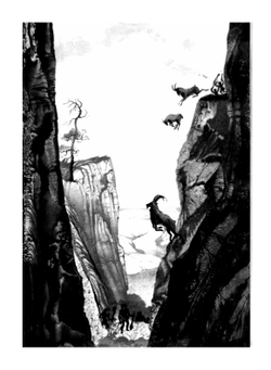 Экспедиция к предкам. Книга знаний | А.Б. Свирин