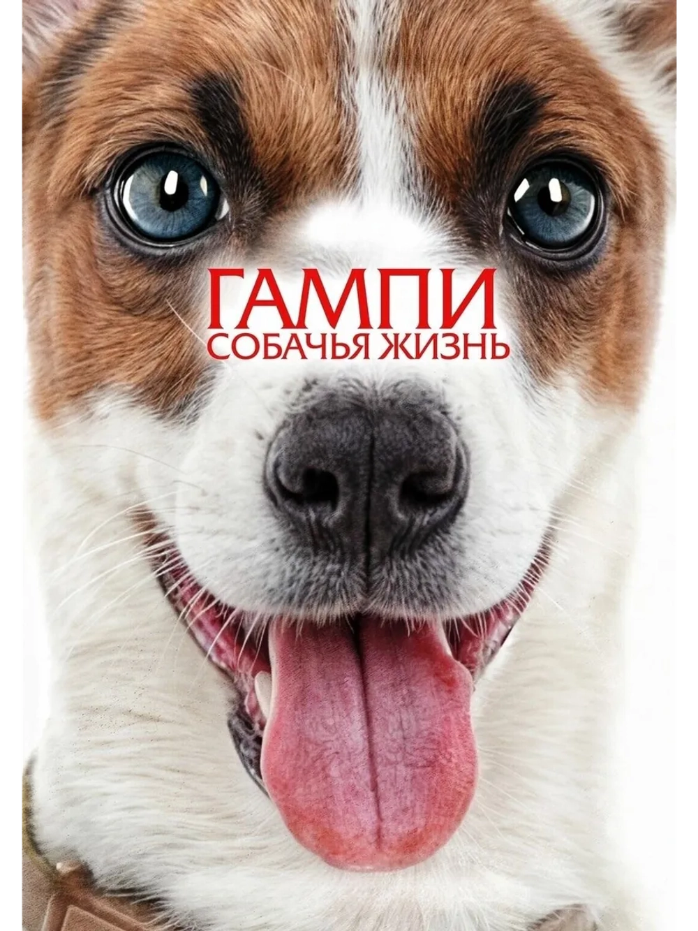 Гампи. Собачья жизнь (2024) (DVD-R)