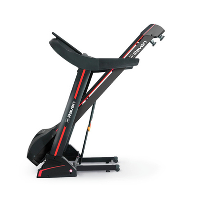 Беговая дорожка Orlauf Raven