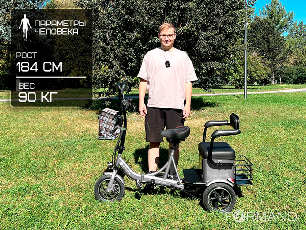 Трехколесный двухместный электровелосипед TRION Delta, Серый