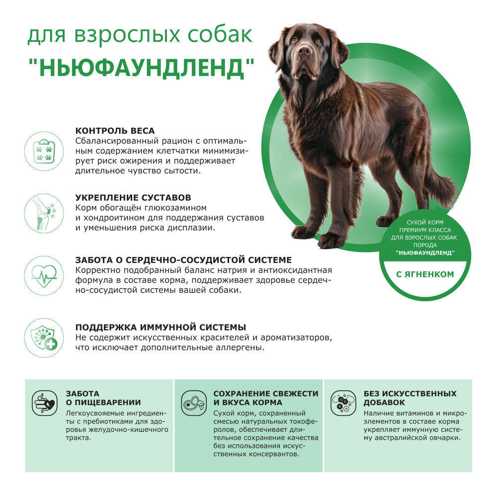 Корм сухой для взрослых собак породы Ньюфаундленд, с ягненком, 2.5 кг, QUATTRO