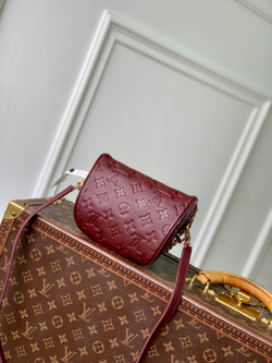 Louis Vuitton Mini Bumbag