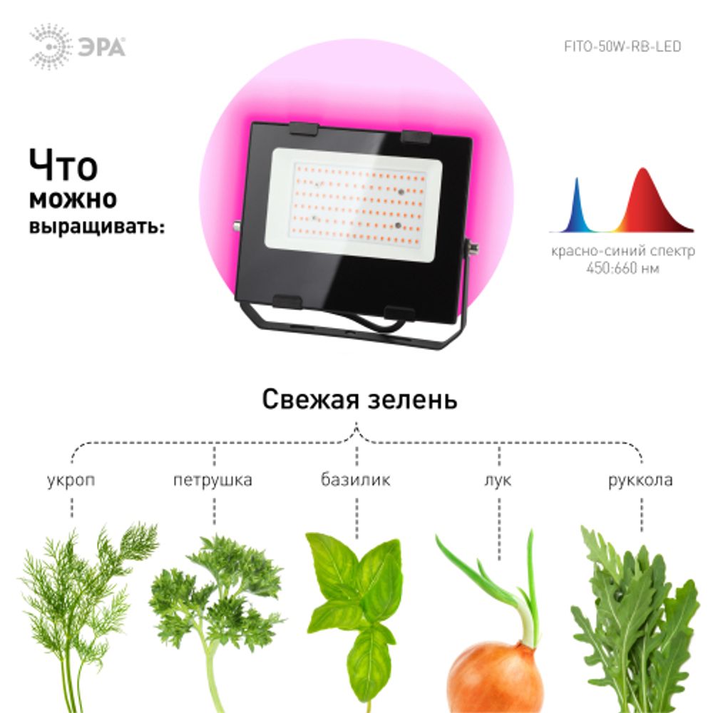 Фитопрожектор для растений светодиодный ЭРА FITO-50W-RB-LED для цветения и плодоношения красно-синего спектра 50 Вт | Фито прожекторы