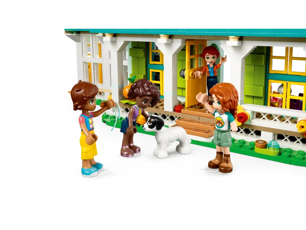 Конструктор LEGO Friends 41730 Дом Отэм