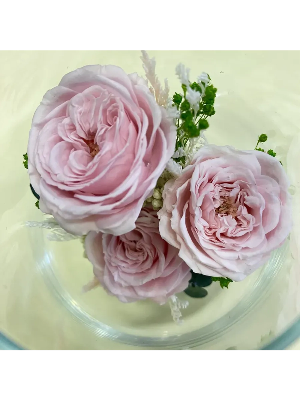 натуральные кустовые розы в стекле, вакуум*