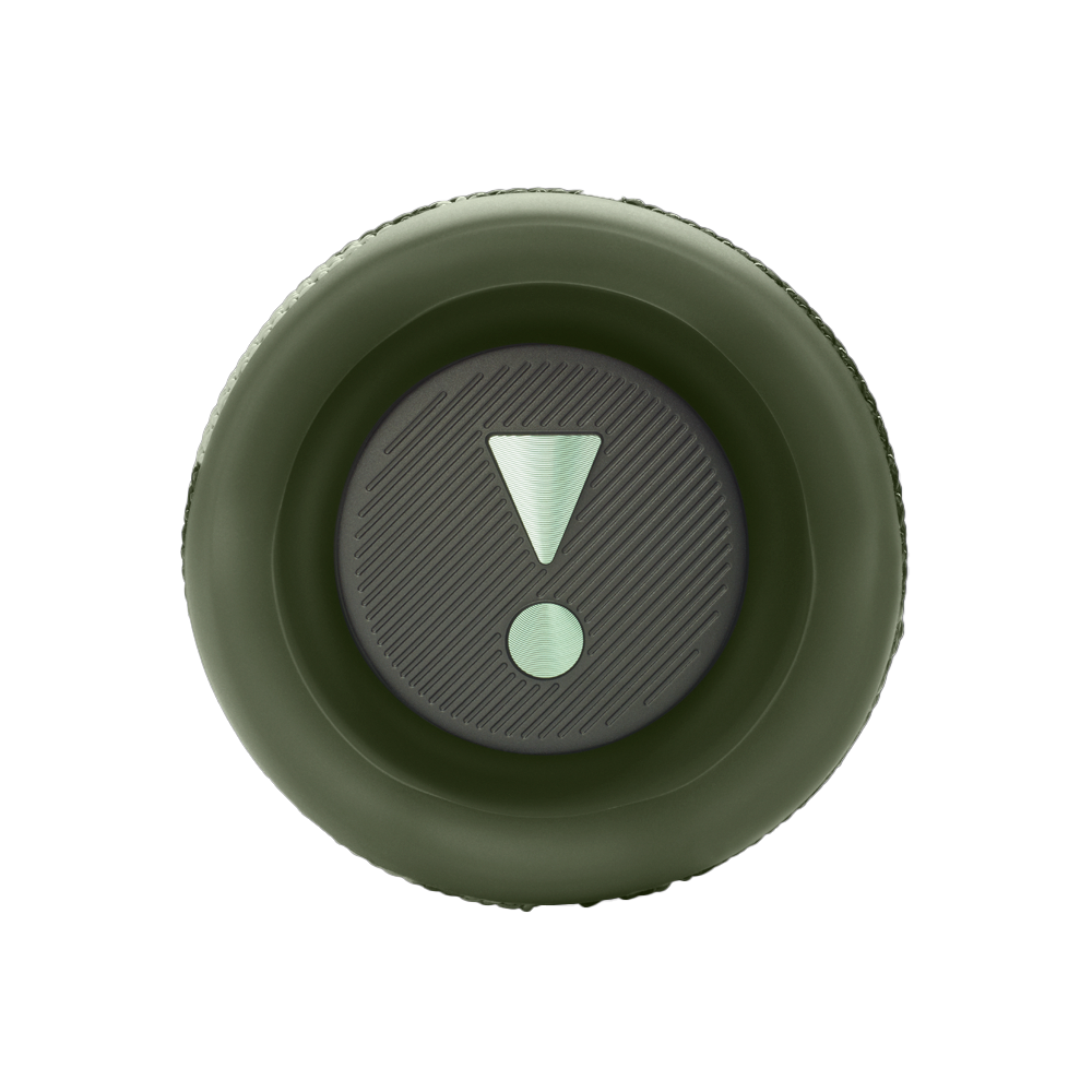 Портативная колонка JBL Flip 6, Squad (Камуфляжный)